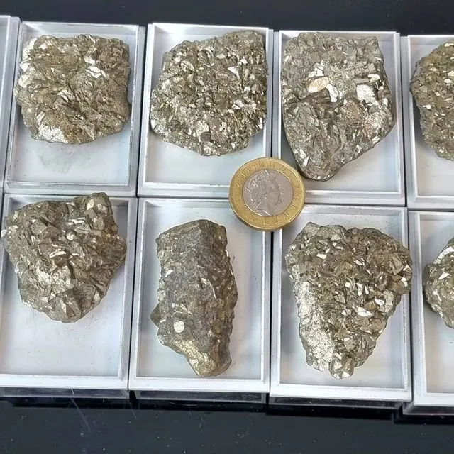 Pyrite Crystal In Display Case