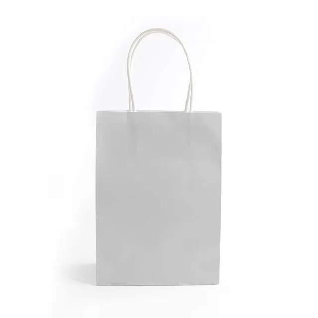 Silver Paper Bag with Handles