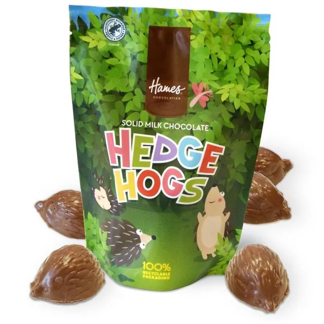 Hames Solid Milk Chocolate Shaped Hedgehogs 100g Outer of 9