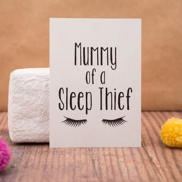 Mummy of a Sleep Thief Postcard