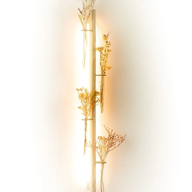 Wall lamp to bloom - BLOOMY Lumineux