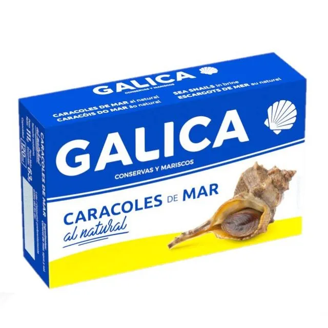 Natural sea snails Galica - PACK 24 units