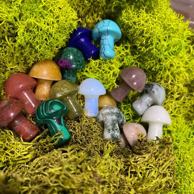 🍄 Crystal Mini Mushroom Stone Assortment 🍄