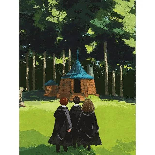 Harry Potter (The Lonely Hut) PPR51639, 60 x 80cm
