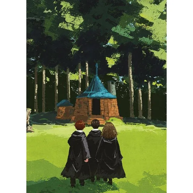 Harry Potter (The Lonely Hut) PPR54408, 30 x 40cm