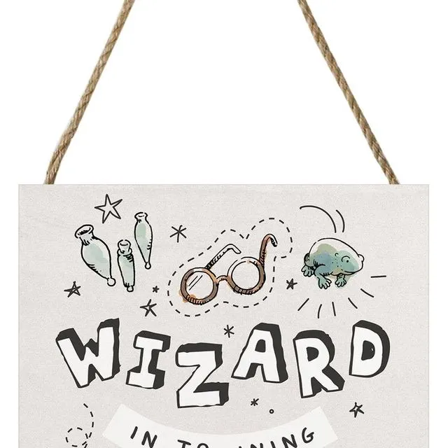 Harry Potter (Wizard In Training) EMBW00297, 20 x 20cm