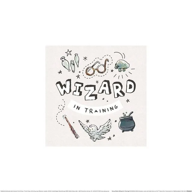 Harry Potter (Wizard In Training) PPR48624, 30 x 30cm