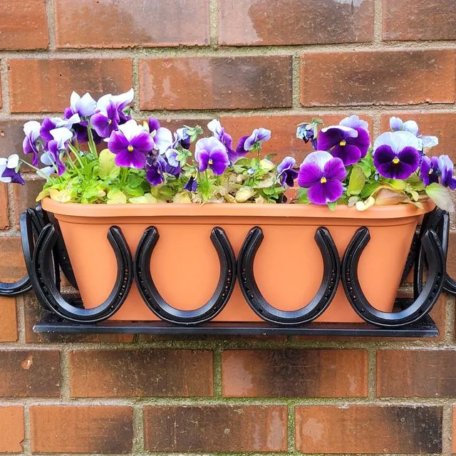 Ultimate decorative window / wall planters made with horseshoes