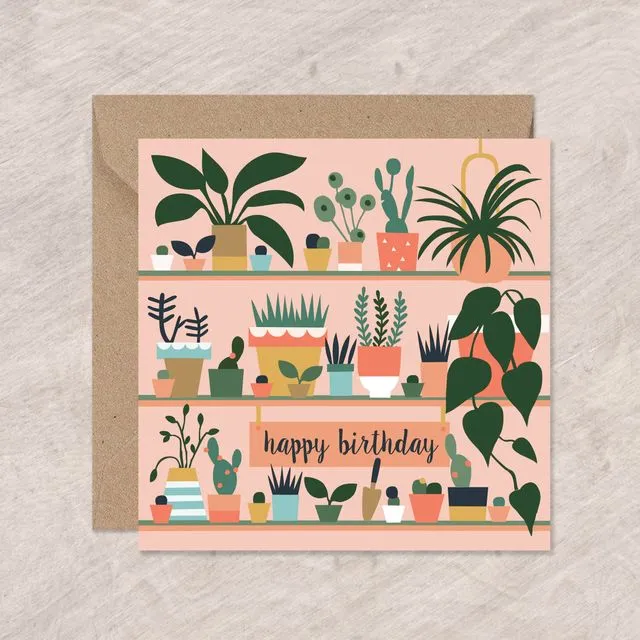 Birthday Potted Plants cards x6, Eli the Goat