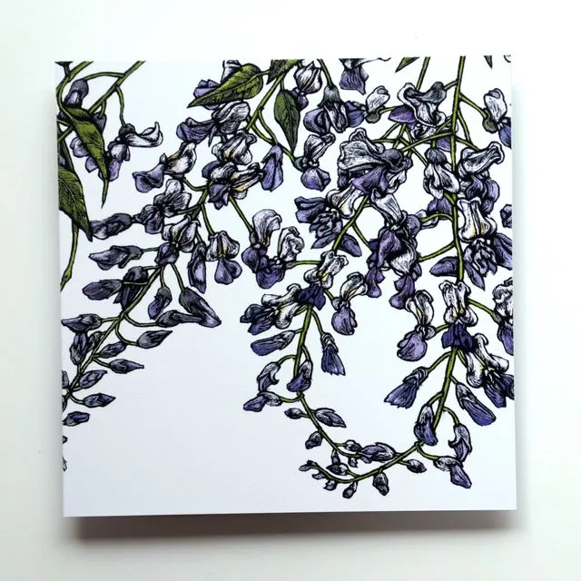 Wisteria Blank Floral Greeting Card, Pack of 5