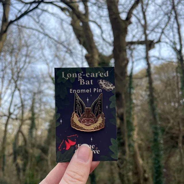 Long-eared Bat enamel pin with illustrated backing card