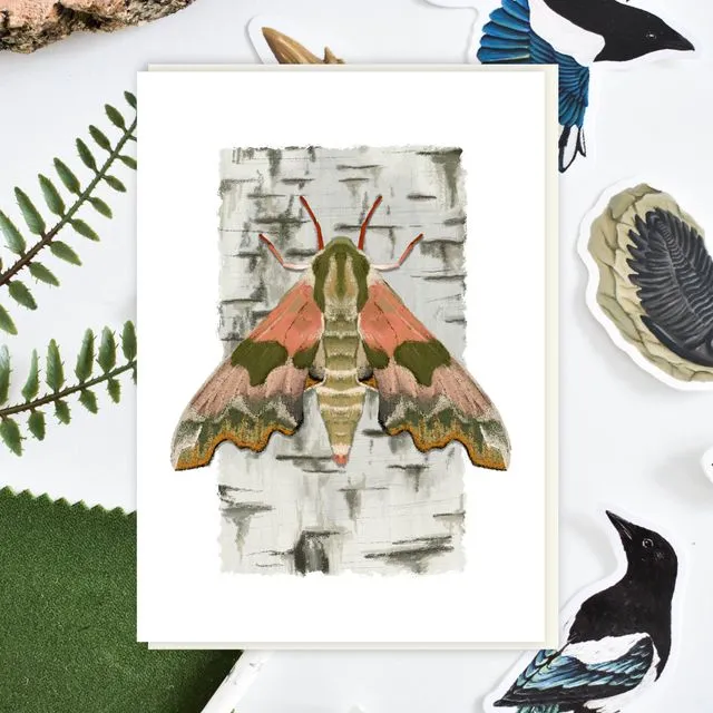 Lime Hawk-Moth Illustrated A6 Blank card