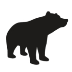 Plain Bear avatar