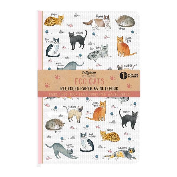 Curious Cats Notebook A5 Softbound - Recycled Paper