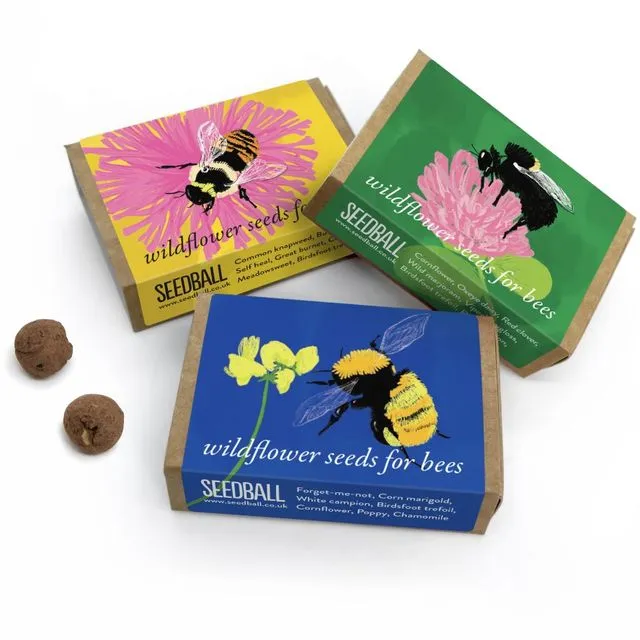 Bumblebee Wildflower Seedball Boxes Set of 3