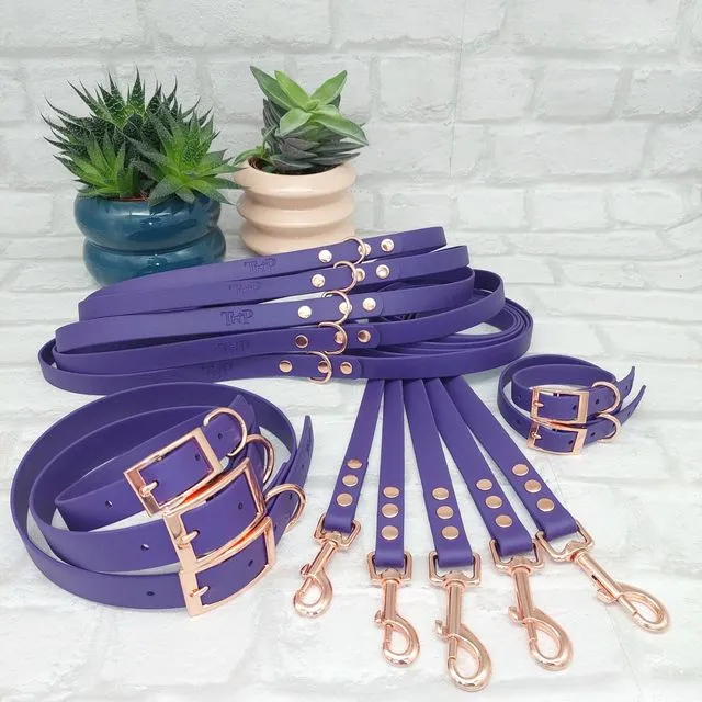 Waterproof Dog Collar & Lead Bundle - Acid Purple (RG)