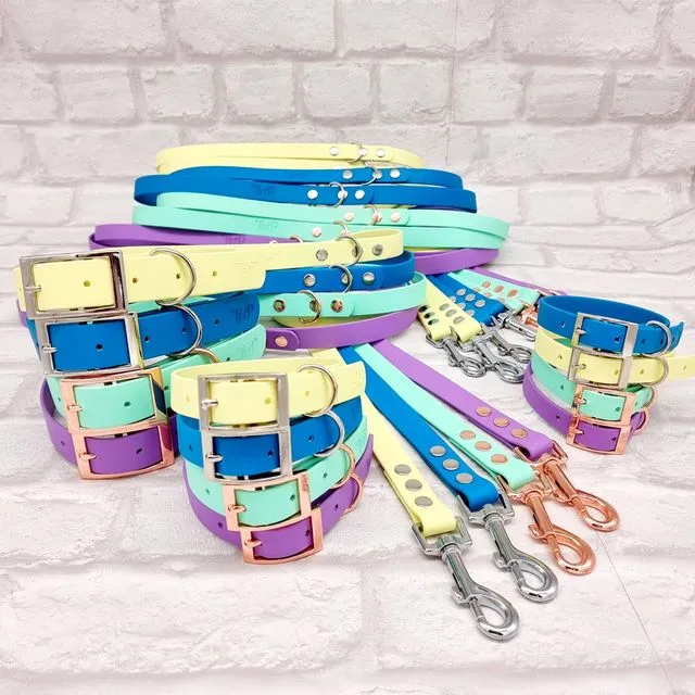 Waterproof Dog Collar & Lead Bundle - Bright Collection