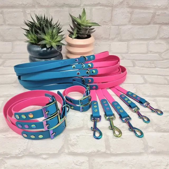 Waterproof Dog Collar & Lead Bundle - Electric Pink / Lagune