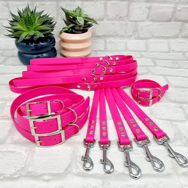 Waterproof Dog Collar & Lead Bundle - Electric Pink (Silver)