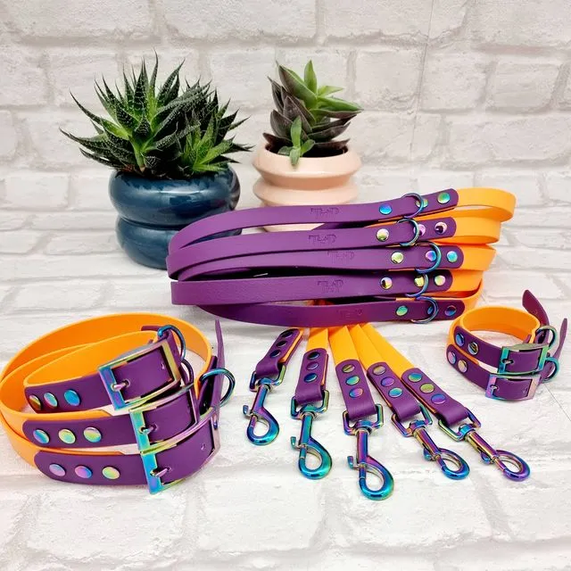 Waterproof Dog Collar & Lead Bundle - Peach / Warm Purple