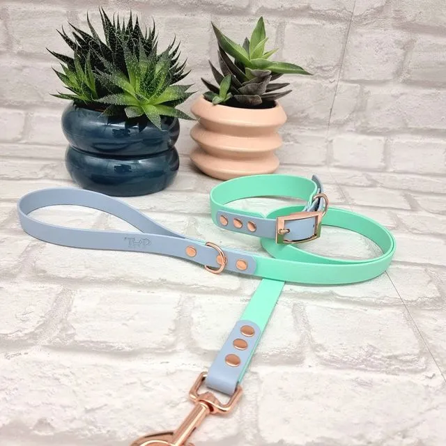 Waterproof Dog Collar & Lead Set - Pastel Blue / Seafoam
