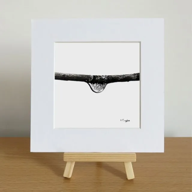 Birch Trees droplet limited edition print with mount.