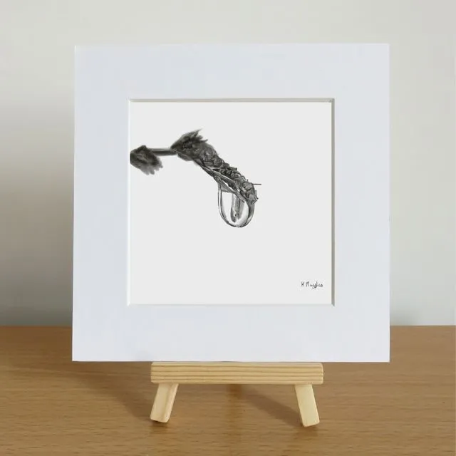 Lobster claw droplet limited edition print with mount.