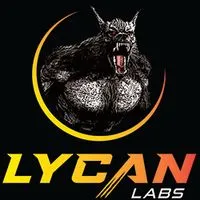 LYCAN ENTERPRISES LTD avatar