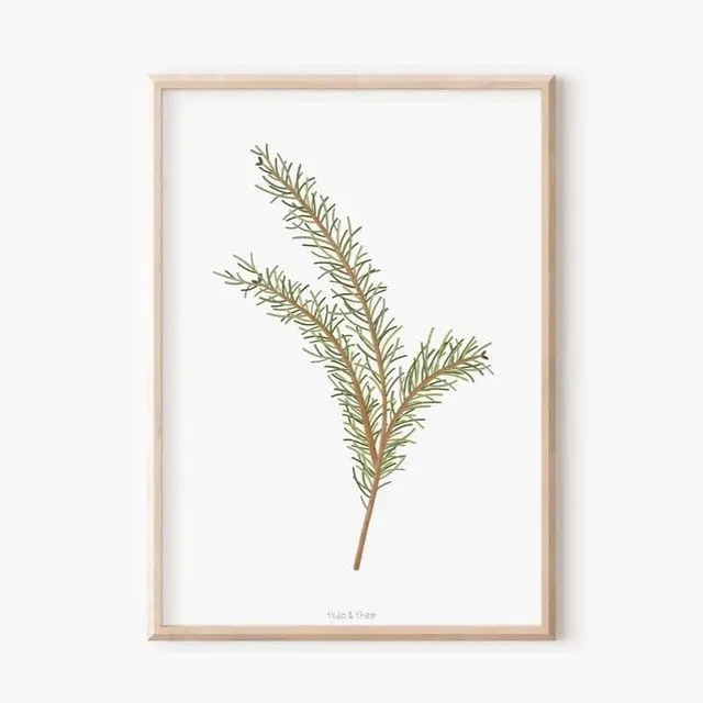 Poster - Pine Branch