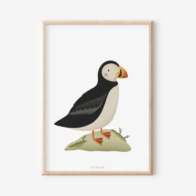 Poster Puffin/Puffin - Iceland