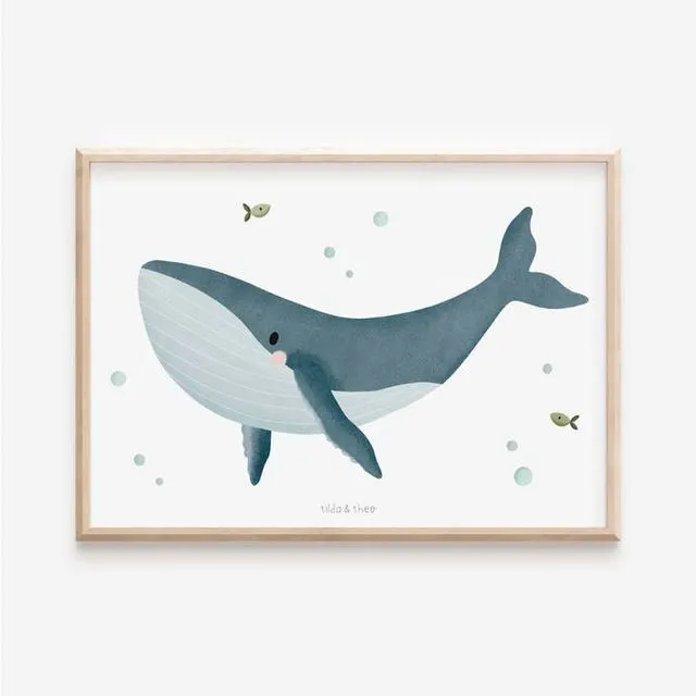 Poster Whale - Marine Animals Humpback Whale