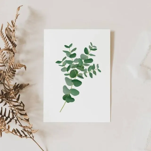 Postkarte - Eukalyptuszweig