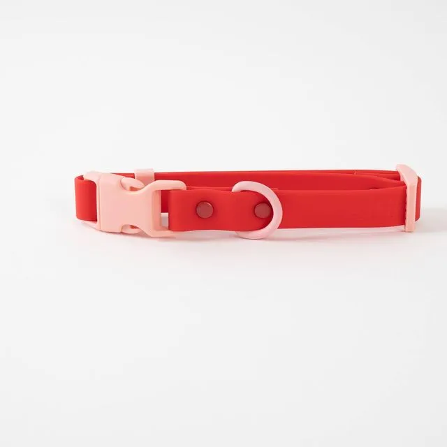 The Fritz Collar - Durable, Waterproof & Two-Tone | Cherry
