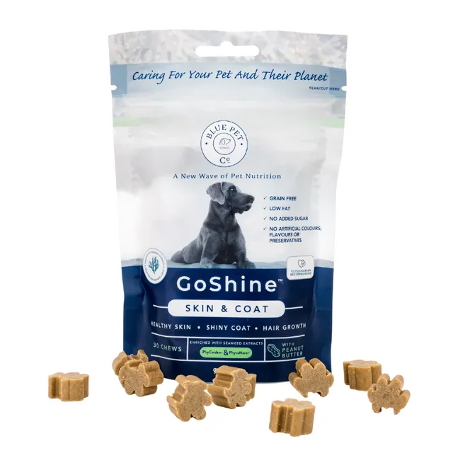 GoShine, Skin & Coat Dog Supplement from Seaweed - Peanut Butter Flavour - Large Pouch