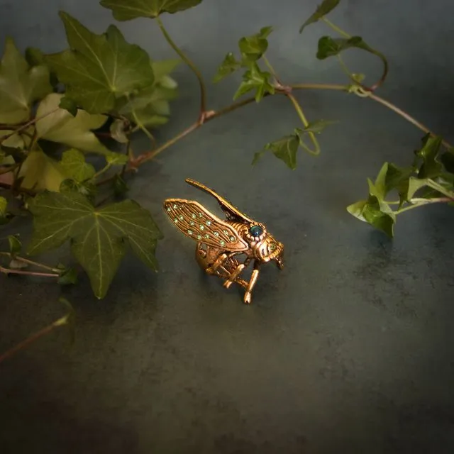 Living Cicada Ring Hedge Spells: Abalone