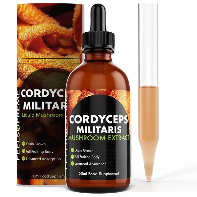 Cordyceps Militaris | High Strength Liquid Mushroom Extract to Improve Stamina and Respiratory Health