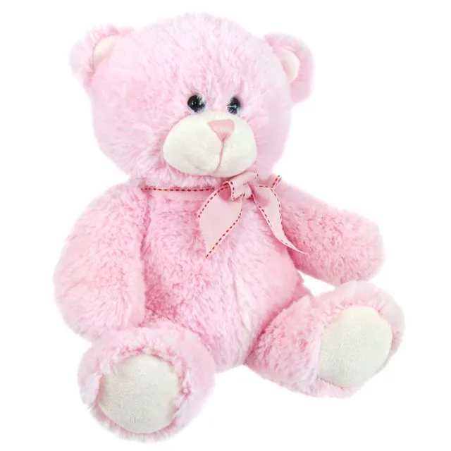 25cm Pink Bear