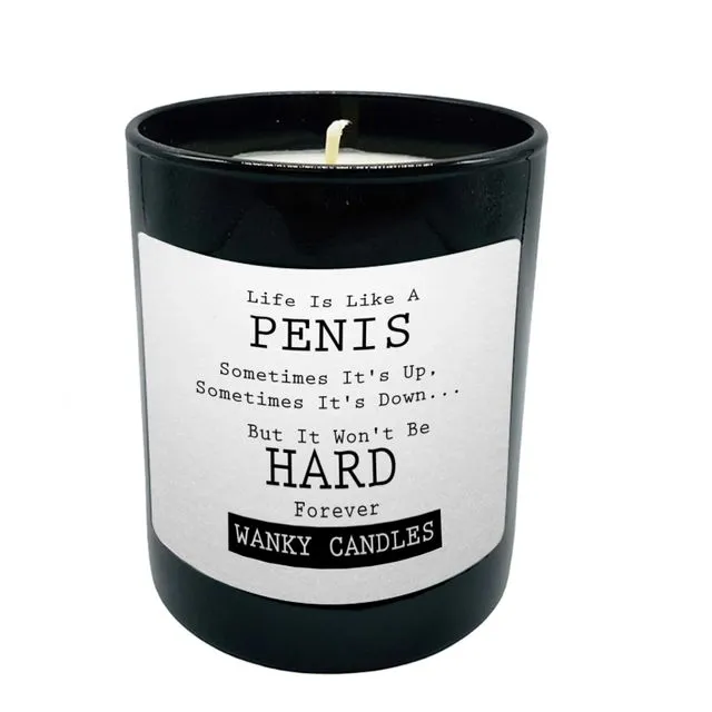 3 x Wanky Candle Black Jar Scented Candles -Have a nice poo - WCBJ03