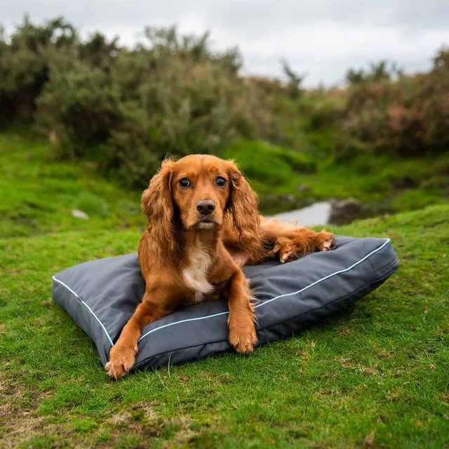 Henry Wag Brecon Adventure Bed