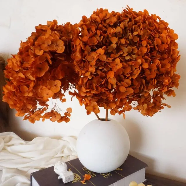 Preserved hydrangea flower,dried flower,home decor,burnt orange flower,wedding decor