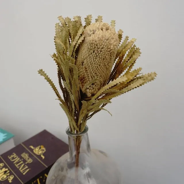 Dried flower dried flower materials,bankwood,preserved flower and plants