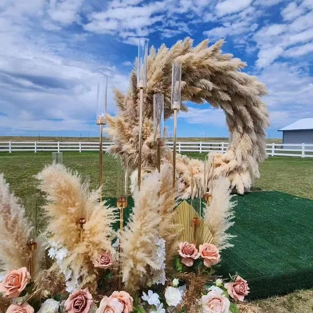 Pampas Grass, Dried, Fluffy Plumes - for wedding party home