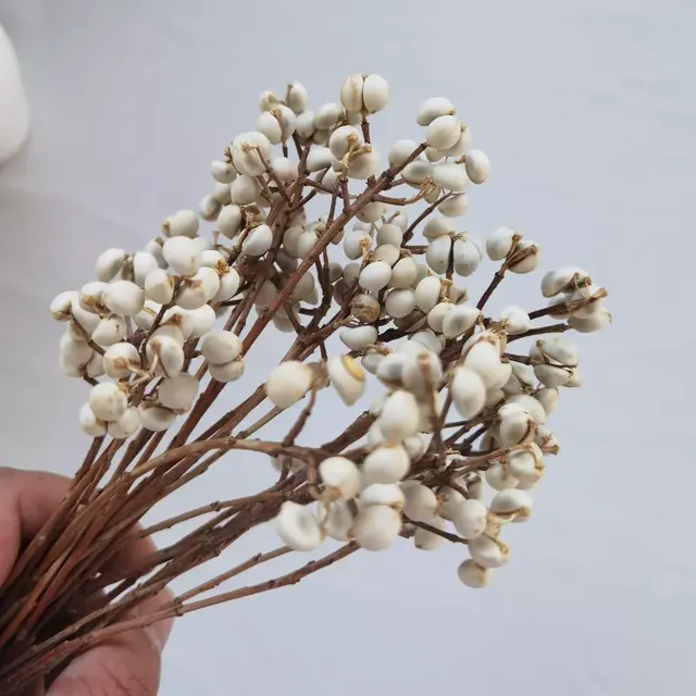 white color dried flower home decor materials