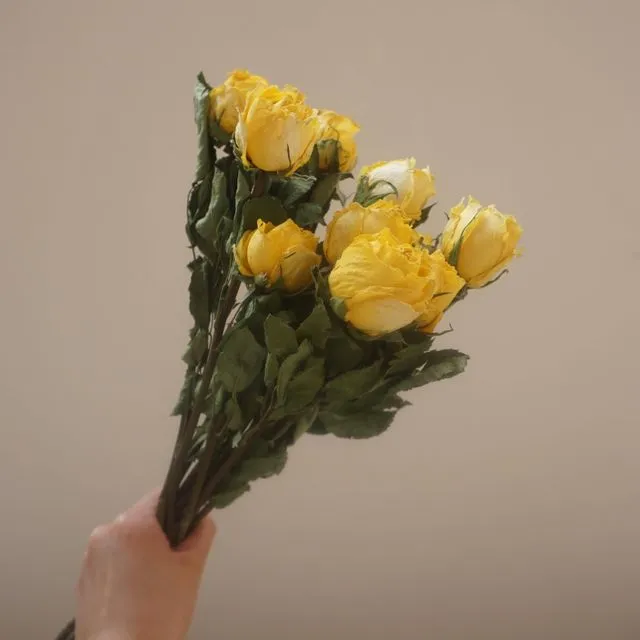 Yellow color dried rose