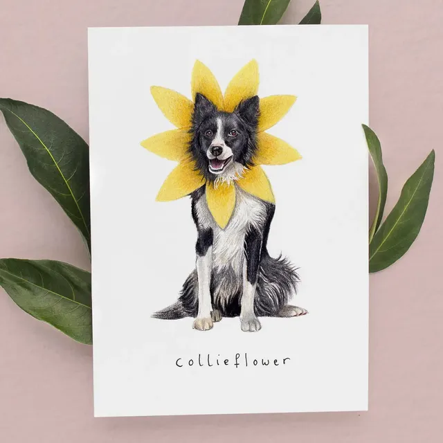 Collieflower Card | Border Collie Birthday Card | Dog Card
