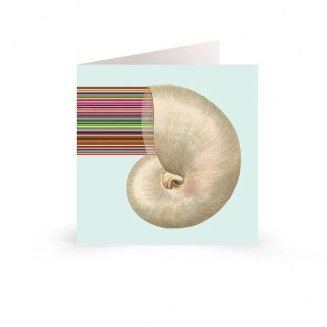 Greetings Cards: Rainbow Sea Shell Design - Ocean Energy