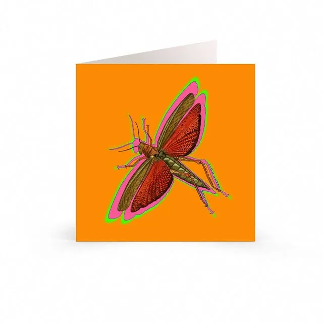 Greetings Cards: Botanic Nature Collection - Neon Locust
