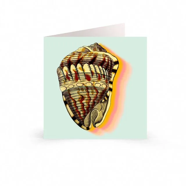 Greetings Cards: Conch Shell Sea Life Design - Ocean Sounds
