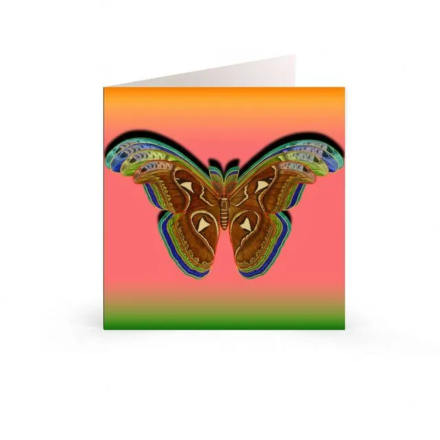 Greetings Cards: Botanic Nature Collection - Atlas Moth