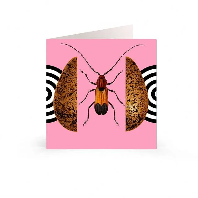 Greetings Cards: Wildlife Insect Collection - Target Beetle